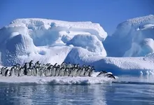 hope penguins antarctica bay 1999x1333 wallpaper Art HD Wallpaper